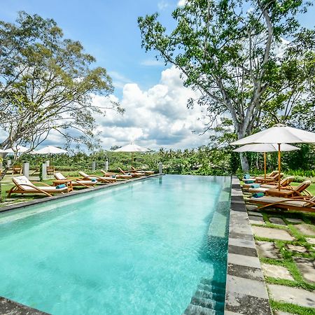 The Pandora Hotel Ubud Dış mekan fotoğraf