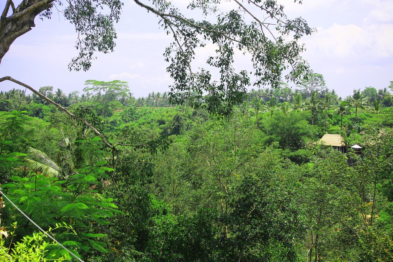 The Pandora Hotel Ubud Dış mekan fotoğraf