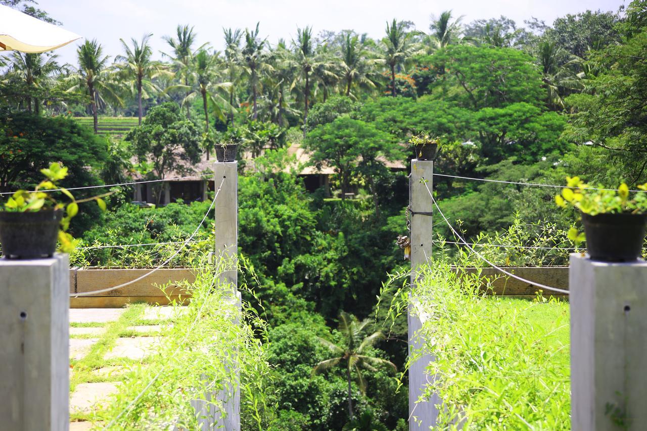 The Pandora Hotel Ubud Dış mekan fotoğraf